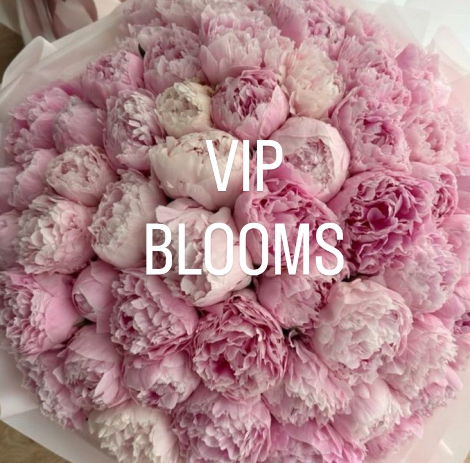 Samira, founder and lead floral designer at Dancing Orchid, North London
